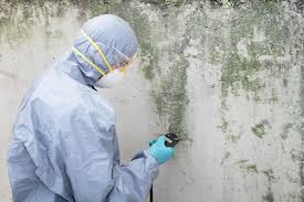 Best Mold Remediation for Healthcare Facilities in USA